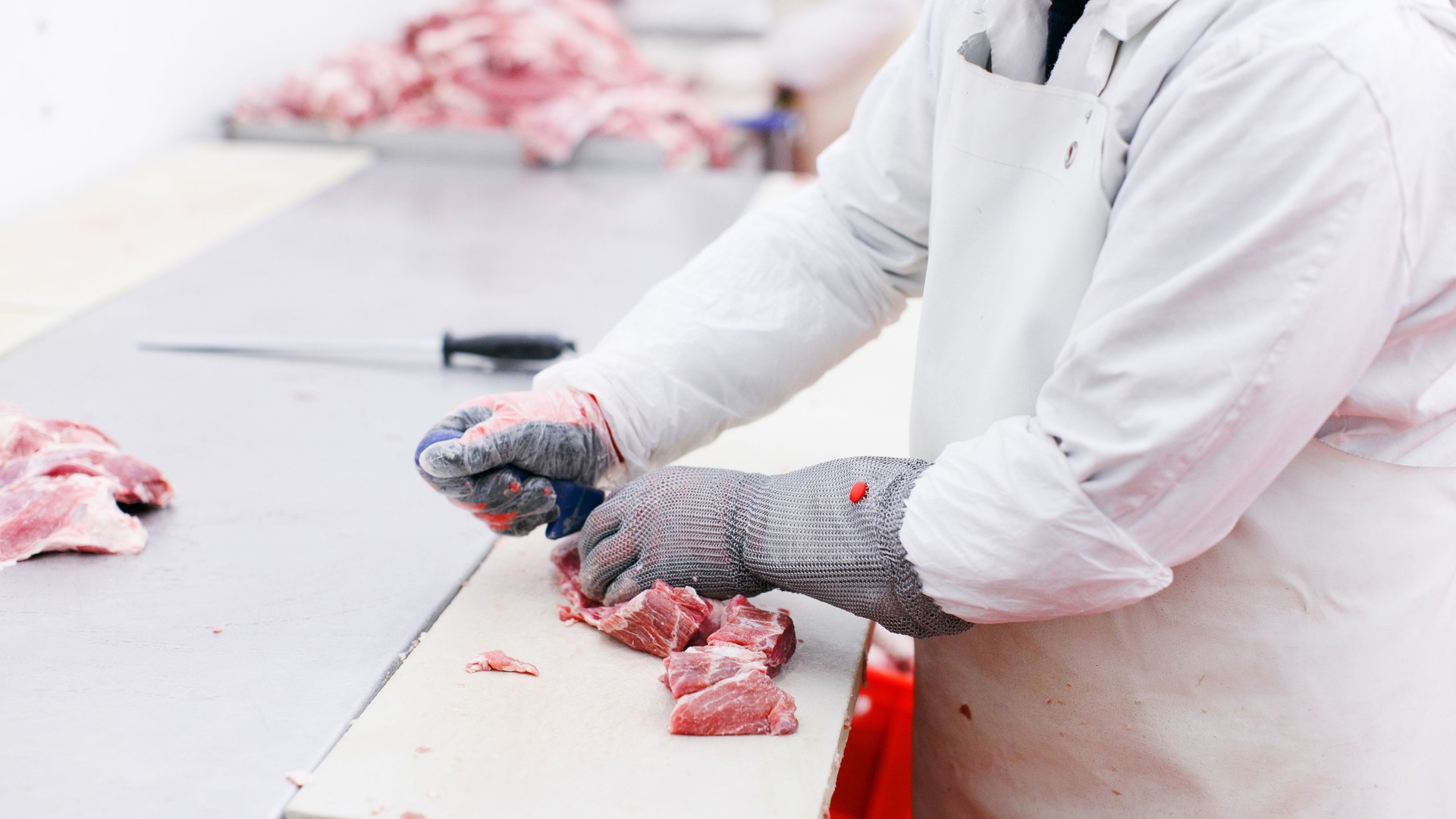 Vista de un trabajador en la fábrica de carne, cortó una carne fresca de carne de res en trozos en la mesa de trabajo de metal, industria de la elaboración de alimentos.